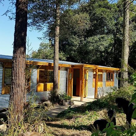 Evergreen Cabin Karkloof Yarrow Extérieur photo